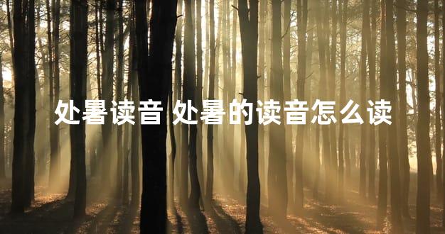 处暑读音 处暑的读音怎么读